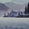 Abetos con niebla, 56 x 76 cm